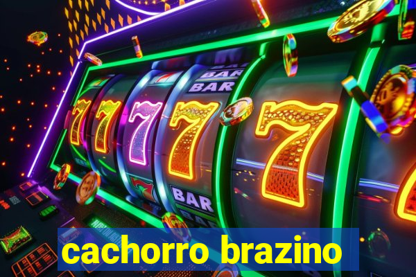 cachorro brazino